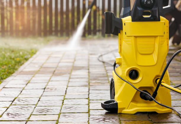 Best Animal Enclosure Cleaning  in Roman Forest, TX